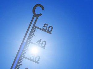 canicule termo